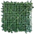 Jardín Vertical Gardenia (50x50) para interior y exterior - tienda online