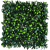Jardín Vertical Gardenia (50x50) para interior y exterior en internet