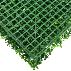 Jardín Vertical de Jazmín (50x50) para Interiores y Exteriores - comprar online