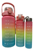 Pack X 3 Botellas Motivacionales 2l 800ml 280ml Degrade en internet