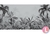 MURAL MOZAMBIQUE BN - comprar online
