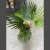 Planta palmeto en internet