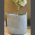 Canasto Gris en internet