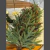 Colgante abeto de navidad en internet