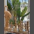 Candelabro madera lustre - Rancho Deco