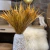RAMAS PAMPA GRASS. Outlet - tienda online