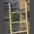 Plantas colgantes - Rancho Deco