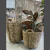 Canasta concepto - comprar online