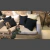 Almohadon Black