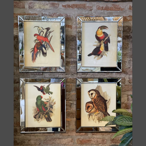 Cuadros Espejados aves outlet
