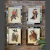 Cuadros Espejados aves outlet