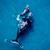 Baby Ballena Franca Austral - tienda online