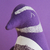 Pingüino Patagónico - Bicho Canasto