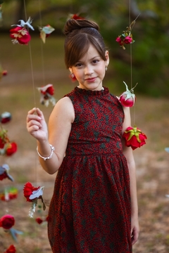 Imagem do Vestido Lana