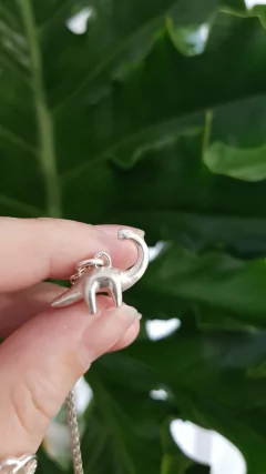 Alberto el dino en internet