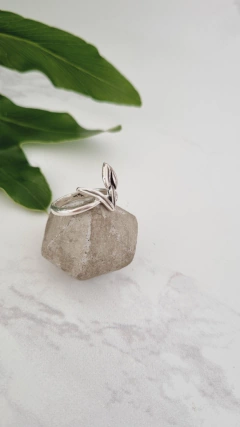 Anillo Vegan en internet