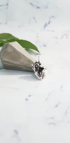 Dije Corazón Anatómico