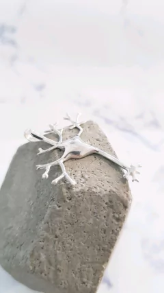Dije Neurona en internet