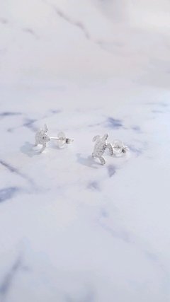 Aros tortugas marinas - Picasso joyeria