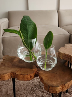 Dúo Jarrones Vietnam