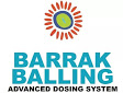 BDNR - Redutor de Fosfato e Nitrato 500ml - Barrak