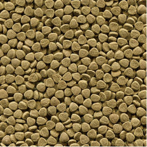 Ração Alcon Bottom Fish 50g