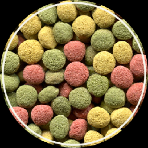 Ração Club Repteis Jabuti 300g - Alcon