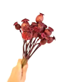 Ramo Amapola Bordo