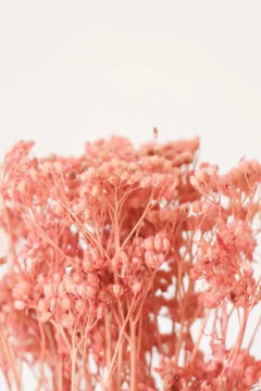 Ramo Arenita Pink - tienda online