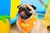 Bandana poá verde + laranja com bordado neon - ACR Moda Pet