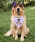 Bandana Turma do Pooh - Bisonho - ACR Moda Pet