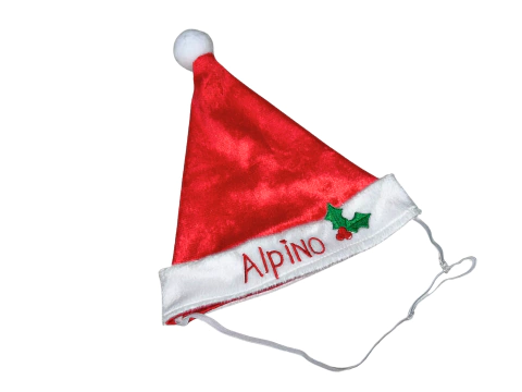 Gorro Papai Noel com nome do pet - comprar online