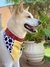 Bandana Woody - Toy Story - ACR Moda Pet