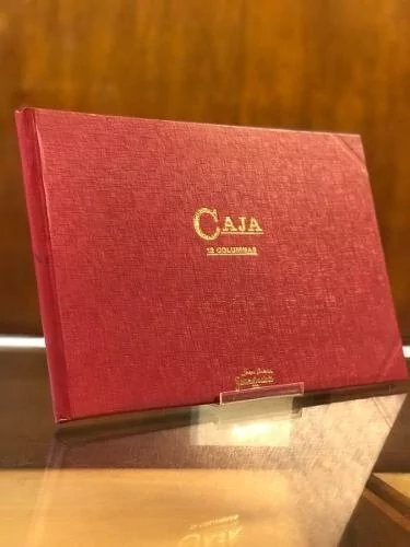 Libro Caja Debe Y Haber 99 Folios 12 Columnas