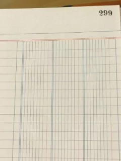 Libro 3 Columnas 300 Páginas en internet