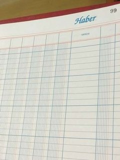 Libro Caja Debe Y Haber 99 Folios 12 Columnas en internet