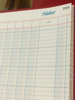 Libro Caja Debe Y Haber 199 Folios 12 Columnas en internet
