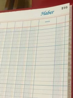 Libro Caja Debe Y Haber 199 Folios 12 Columnas en internet