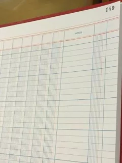 Libro Diario 30 Columnas 149 Paginas en internet