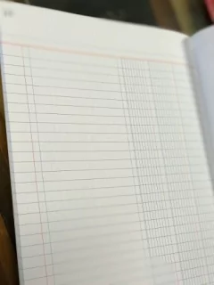 Libro Diario 3 Columnas 40 Páginas Flexible en internet