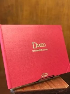 Libro Diario 17 Columnas Dobles 149 Folios