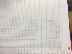 Libro Diario 3 Columnas 100 Páginas en internet