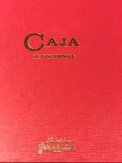 Libro Caja Debe Y Haber 199 Folios 12 Columnas - comprar online