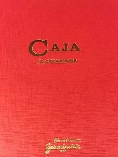 Libro Caja Debe Y Haber 149 Folios 12 Columnas - comprar online