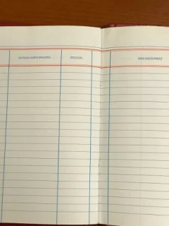 Libro Productores Y Seguros Operaciones 100 Páginas en internet