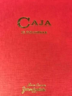 Libro Caja Debe Y Haber 99 Folios 12 Columnas - comprar online