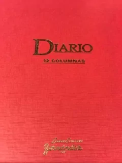Libro Diario 12 Columnas Simples 400 Páginas - comprar online
