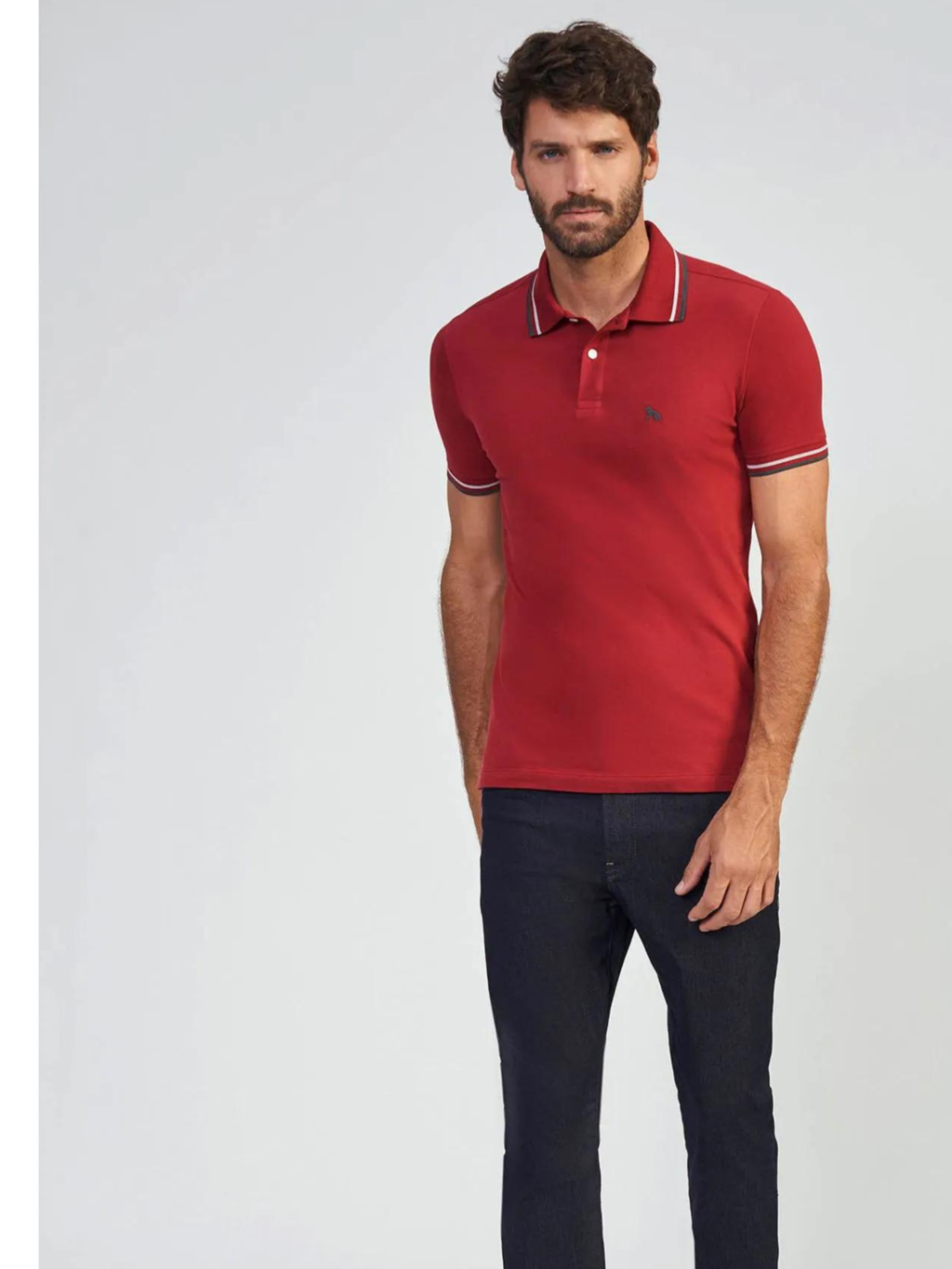 Camiseta Gola Polo Bali Logo Bordada 4002 - Acostamento - comprar online