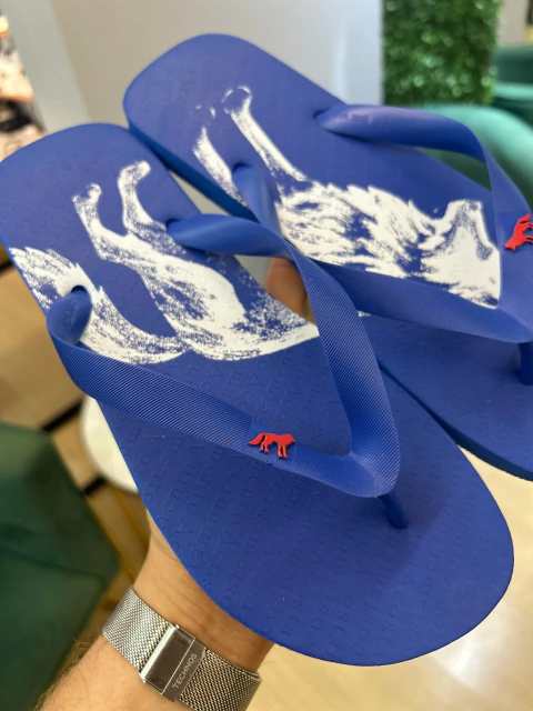 Chinelo Azul Lobao Branco 9022 - Acostamento - Kamarim Patos