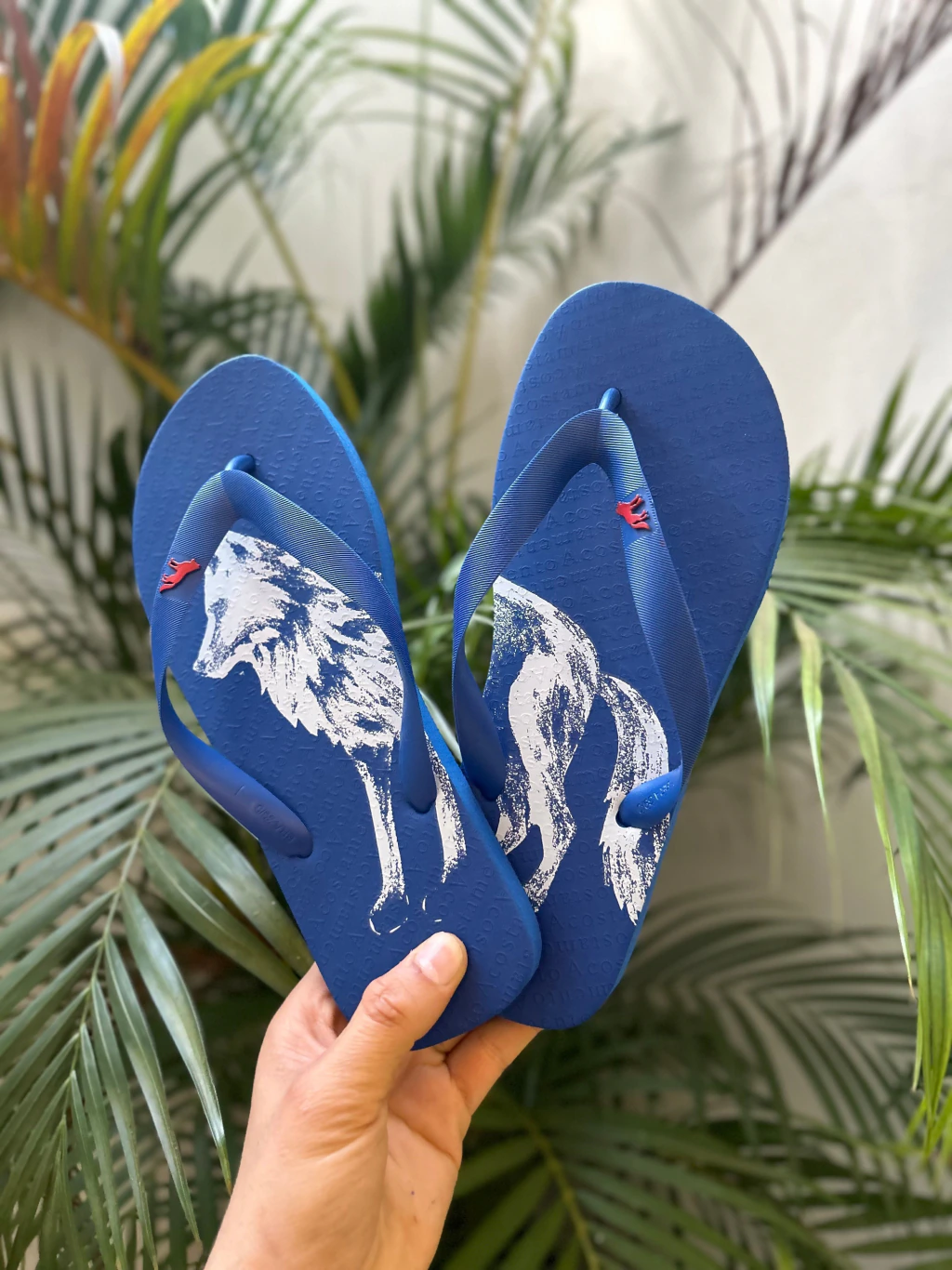 Chinelo Azul Lobao Branco 9022 - Acostamento na internet